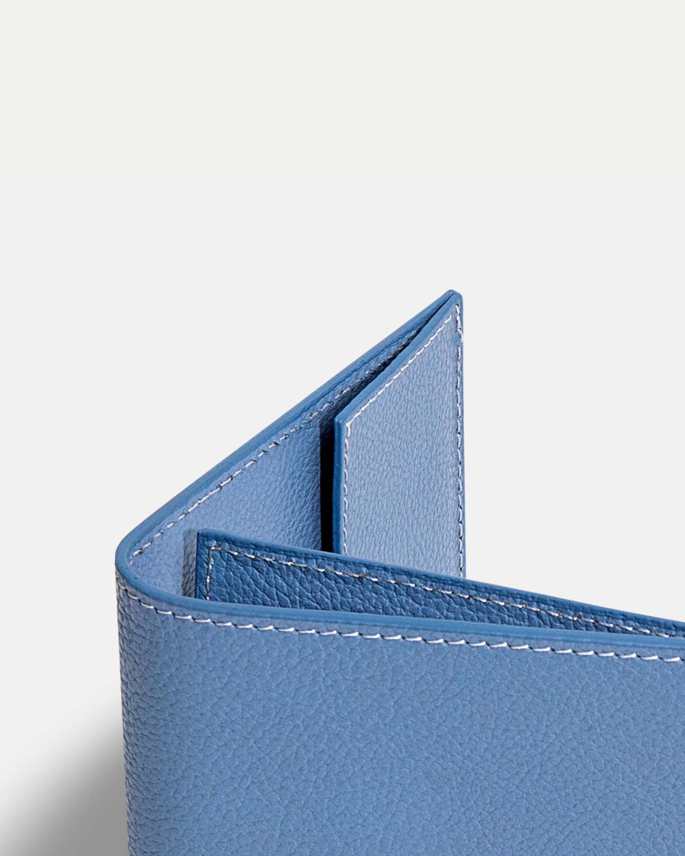 Funda Clásica para 1 Pasaporte - Sky Blue