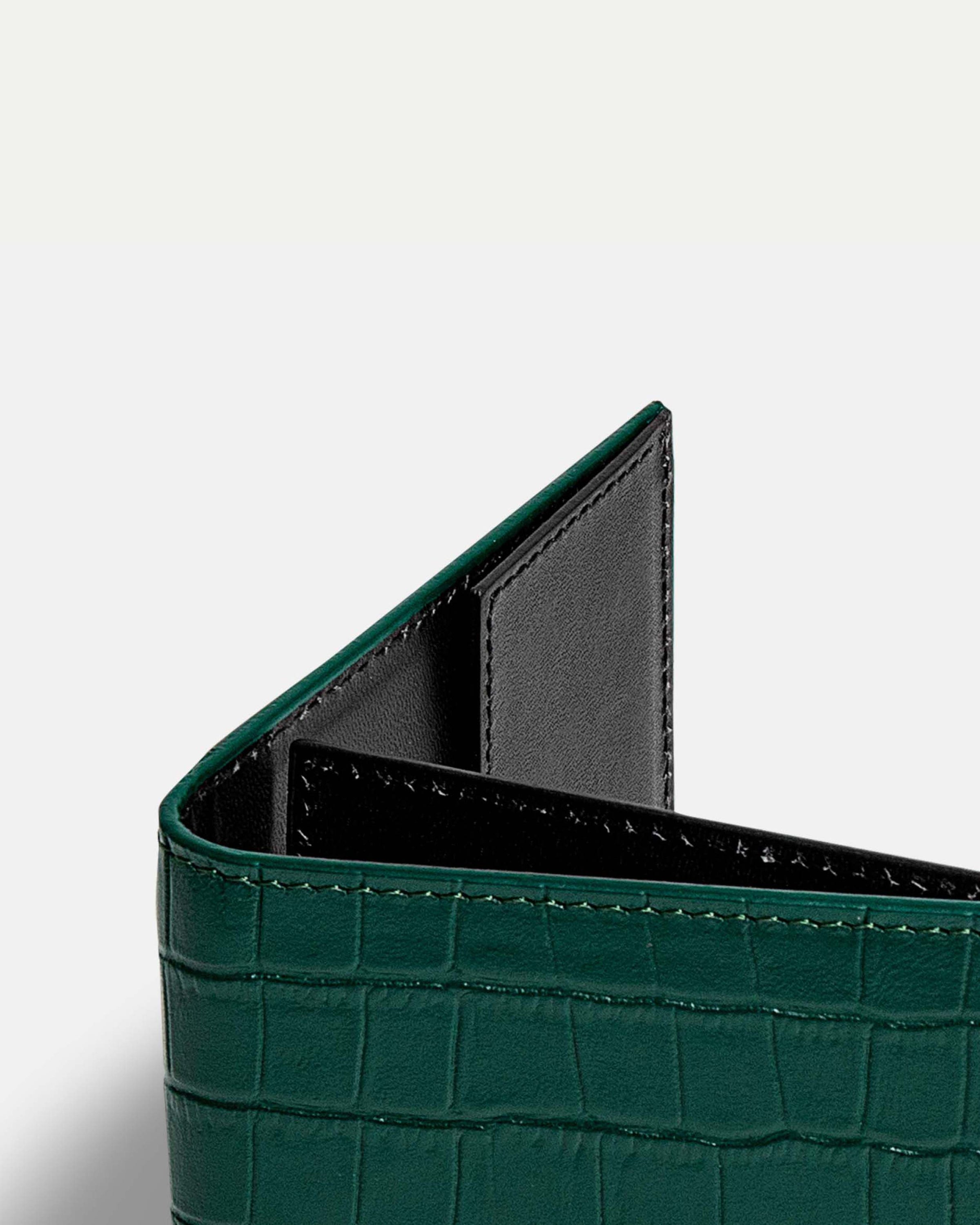 Funda Clásica para 1 Pasaporte - Maverick Green