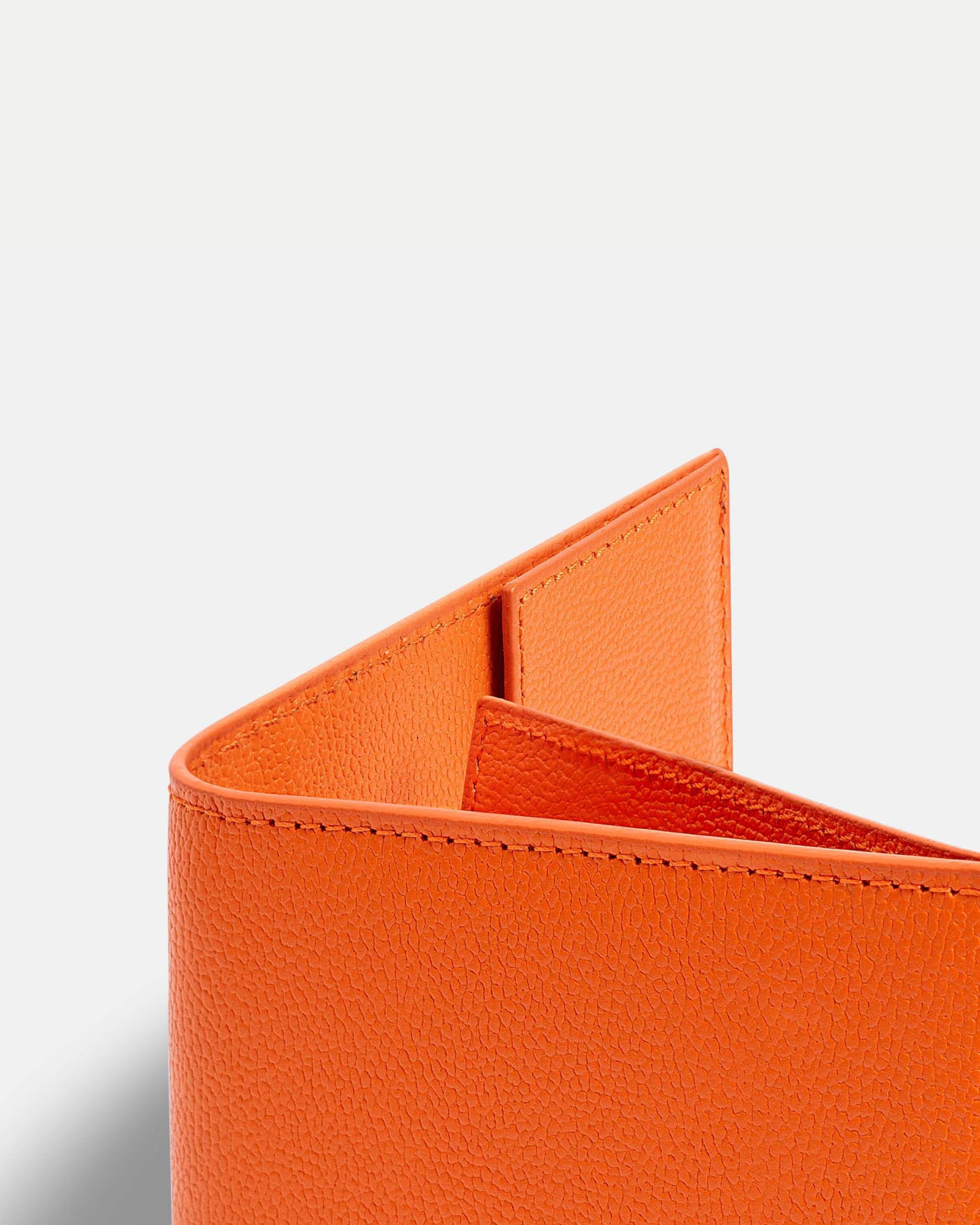 Funda Clásica para 1 Pasaporte - Orange Solei