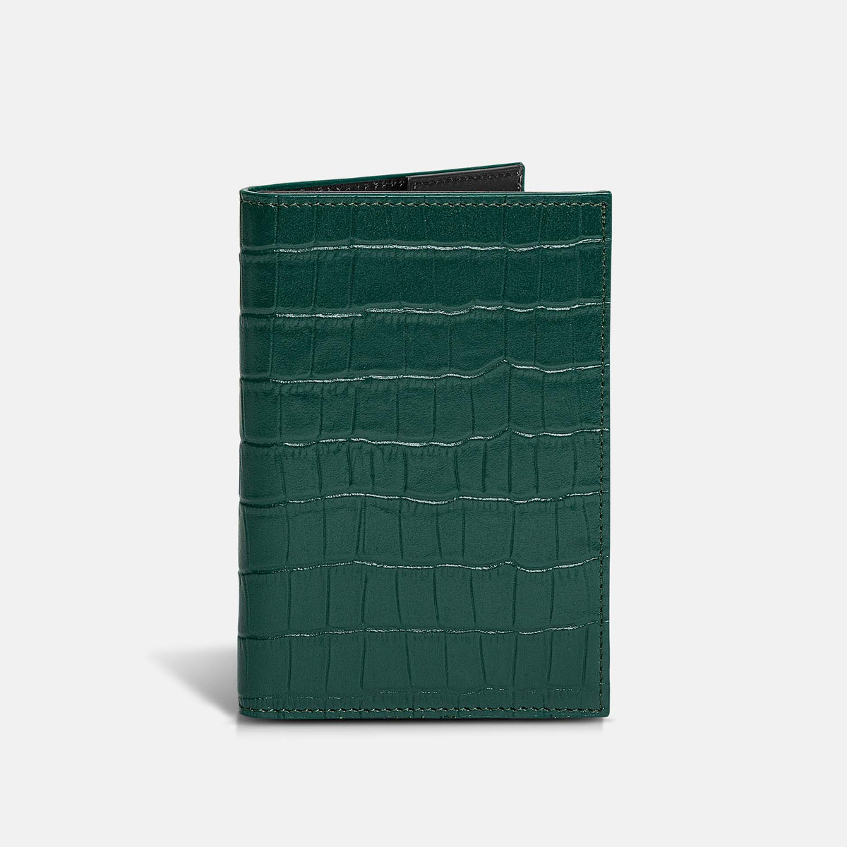 Funda Clásica para 1 Pasaporte - Maverick Green