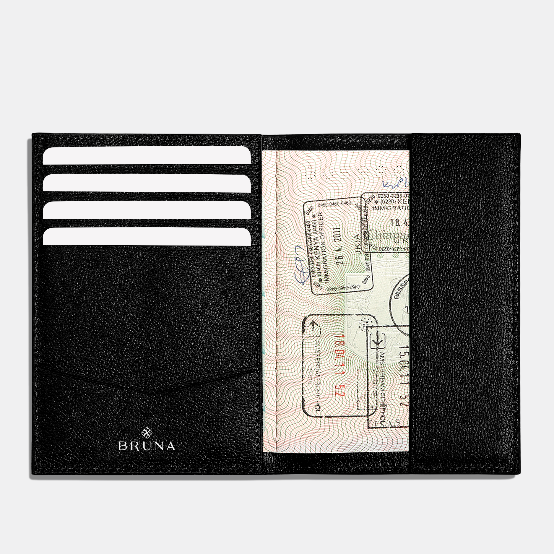 Funda Clásica para 1 Pasaporte - Maverick Green