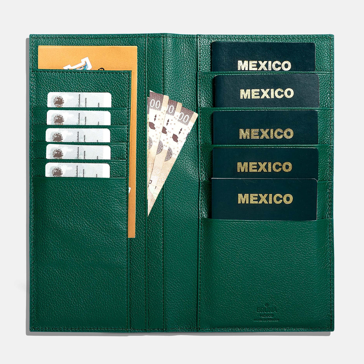 Family Case for 5 Passports - Forest Green